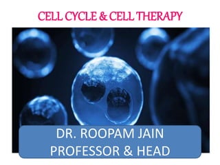 CELL CYCLE & CELL THERAPY
DR. ROOPAM JAIN
PROFESSOR & HEAD
 