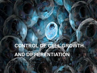 CONTROL OF CELL GROWTH
AND DIFFERENTIATION
 