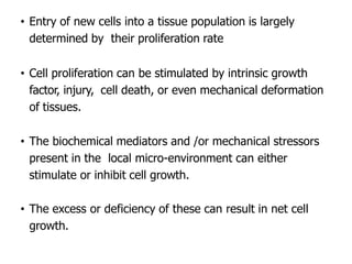 • Entry of new cells into a tissue population is largely
determined by their proliferation rate
• Cell proliferation can be stimulated by intrinsic growth
factor, injury, cell death, or even mechanical deformation
of tissues.
• The biochemical mediators and /or mechanical stressors
present in the local micro-environment can either
stimulate or inhibit cell growth.
• The excess or deficiency of these can result in net cell
growth.
 