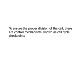 To ensure the proper division of the cell, there
are control mechanisms known as cell cycle
checkpoints
 
