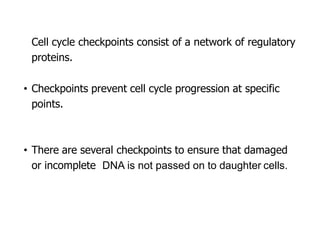 • Cell cycle checkpoints consist of a network of regulatory
proteins.
• Checkpoints prevent cell cycle progression at specific
points.
• There are several checkpoints to ensure that damaged
or incomplete DNA is not passed on to daughter cells.
 