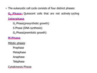 • The eukaryotic cell cycle consists of four distinct phases:
G0 Phase- Quiescent cells that are not actively cycling
Interphase
o G1 Phase(presynthetic growth)
o S Phase (DNA synthesis)
o G2 Phase(premitotic growth)
M Phase
Mitotic phases
o Prophase
o Metaphase
o Anaphase
o Telophase
Cytokinesis Phase
 
