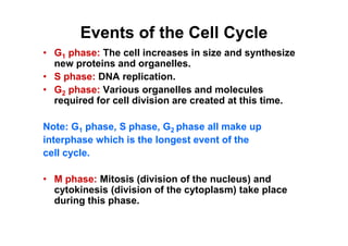Cell cycle [compatibility mode] | PDF