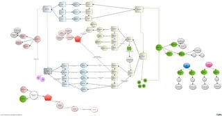 Cell Cycle Map