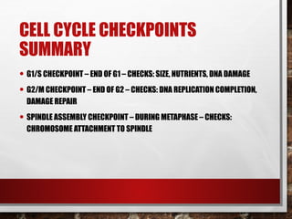 Cell_Cycle_Control_Points_Presentation [Autosaved].pptx