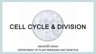 CELL CYCLE & DIVISION
ABHISHEK SINGH
DEPARTMENT OF PLANT BREEDING AND GENETICS
 