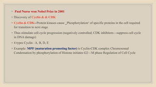◦ Paul Nurse won Nobel Prize in 2001
◦ Discovery of Cyclin & & CDK
◦ Cyclin & CDK--Protein kinases cause ‗Phosphorylation‘ of specific proteins in the cell required
for transition to next stage
◦ Thus stimulate cell cycle progression (negatively controlled; CDK inhibitors—suppress cell cycle
in DNA damage)
◦ 4 types Cyclin : A, B, D, E
◦ Example: MPF (maturation promoting factor) is Cyclin-CDK complex Chromosomal
Condensation by phosphorylation of Histone initiates G2—M phase Regulation of Cell Cycle
 