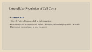 Extracellular Regulation of Cell Cycle
◦ • ―MITOGENS
◦ • Growth Factors, Hormones, Cell to Cell interactions
◦ • Binds to specific receptors on cell surface Phosphorylation of target proteins Cascade
Phenomenon causes changes in gene expression
 