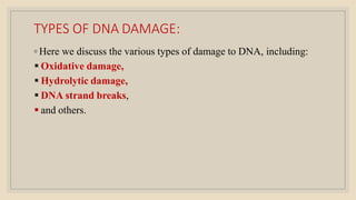 TYPES OF DNA DAMAGE:
◦ Here we discuss the various types of damage to DNA, including:
 Oxidative damage,
 Hydrolytic damage,
 DNA strand breaks,
 and others.
 