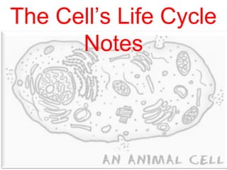 The Cell’s Life Cycle
Notes

 