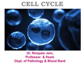 Dr. Roopam Jain,
Professor & Head,
Dept. of Pathology & Blood Bank
 