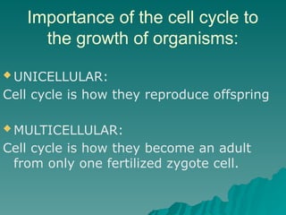 Importance of the cell cycle to
the growth of organisms:
 UNICELLULAR:
Cell cycle is how they reproduce offspring
 MULTICELLULAR:
Cell cycle is how they become an adult
from only one fertilized zygote cell.
 