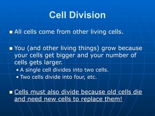 CELL CYCLE, MITOSIS & MEIOSIS Grade 8 Science lesson | PPTX