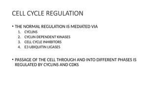 CELL CYCLE(1).pptx 1st year registrar oncology | PPTX