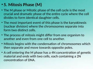 Cell cycle,cell cycle checkpoint and control | PPT
