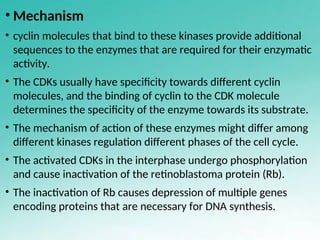 Cell cycle,cell cycle checkpoint and control | PPT