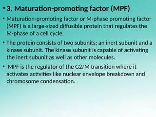Cell cycle,cell cycle checkpoint and control | PPT