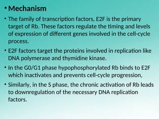 Cell cycle,cell cycle checkpoint and control | PPT