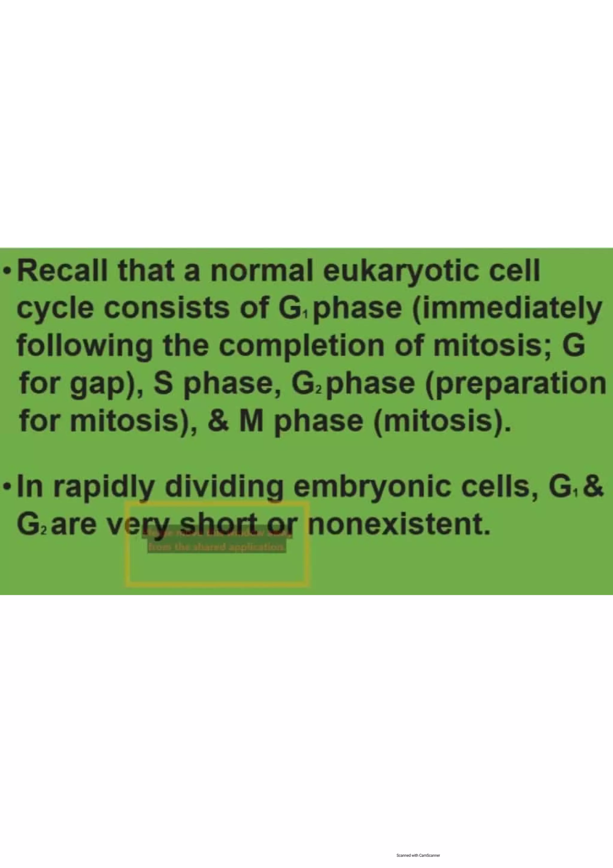 Cell cycle, multiple replicones per chromosome. 