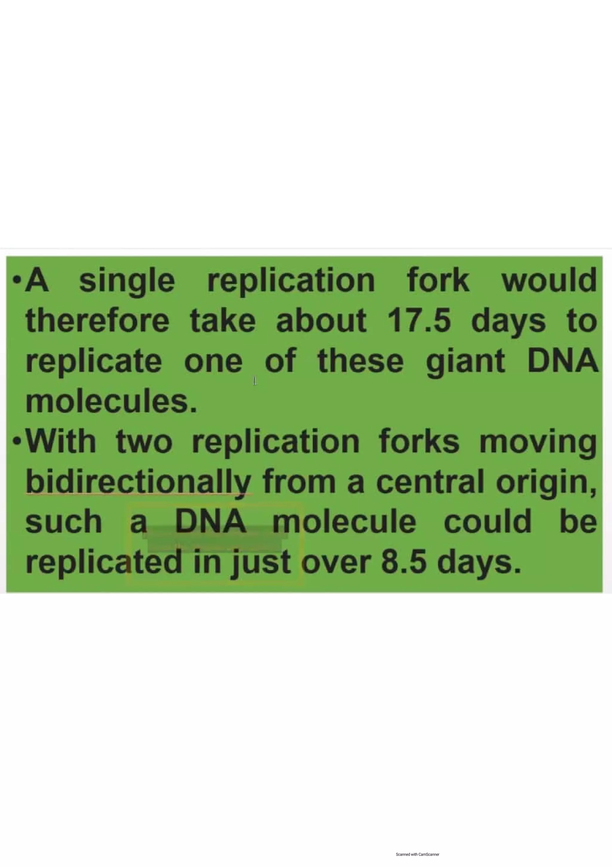 Cell cycle, multiple replicones per chromosome. 