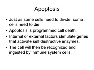 Cell cycle n its regulation | PPT