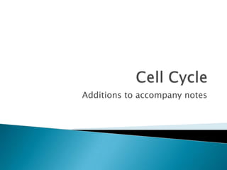 Cell Cycle  Additions to accompany notes 