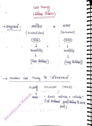 Cell Theeg
<br>
(Bchlefdon)
<br>
(1298
<br>
Moden Col hey
<br>
(schsan)
<br>
1829
<br>
Virch
w
(1855)
<br>
cellaa
<br>
)
<br>
 