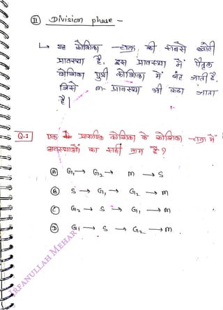 Q1
<br>
Division phae
<br>
G, G
<br>
G
<br>
S
<br>
G
<br>
 