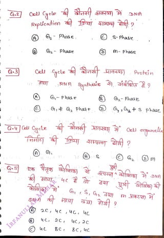 Q.2
<br>
A) Phase
<br>
(A G,-
<br>
G- Phase
<br>
Q-yCell Cyele
<br>
RNA
<br>
G,- Phae
<br>
G
G, Phas e
<br>
2C,
<br>
BC 8C, 4c
<br>
4c, 2c
<br>
S-Phase
<br>
-
Phase
<br>
Prutein
<br>
G,-Phaae
<br>
G
<br>
m
<br>
 