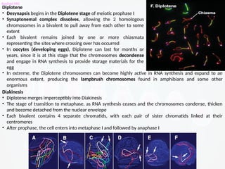 Cell cycle part 2 (Mitosis, Meiosis, Differences, Nondisjuction and ...