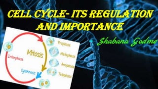 Cell Cycle- its regulation
and importance
- Shabana Godme
 