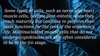 Some types of cells, such as nerve and heart
muscle cells, become post-mitotic when they
reach maturity but continue to perform their
main functions for the rest of the organism's
life. Multinucleated muscle cells that do not
undergo cytokinesis are also often considered
to be in the G0 stage.
 