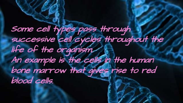 Cell cycle ppt. Biology Diagrams