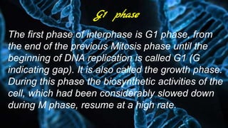 G1 phase
The first phase of interphase is G1 phase, from
the end of the previous Mitosis phase until the
beginning of DNA replication is called G1 (G
indicating gap). It is also called the growth phase.
During this phase the biosynthetic activities of the
cell, which had been considerably slowed down
during M phase, resume at a high rate.
 