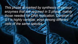 This phase is marked by synthesis of various
enzymes that are required in S phase, mainly
those needed for DNA replication. Duration of
G1 is highly variable, even among different
cells of the same species.
 