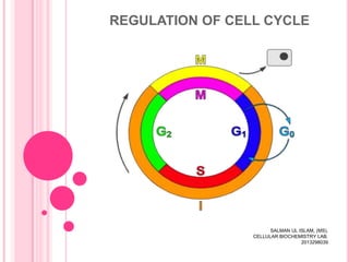 REGULATION OF CELL CYCLE

SALMAN UL ISLAM, (MS),
CELLULAR BIOCHEMISTRY LAB.
2013298039

 