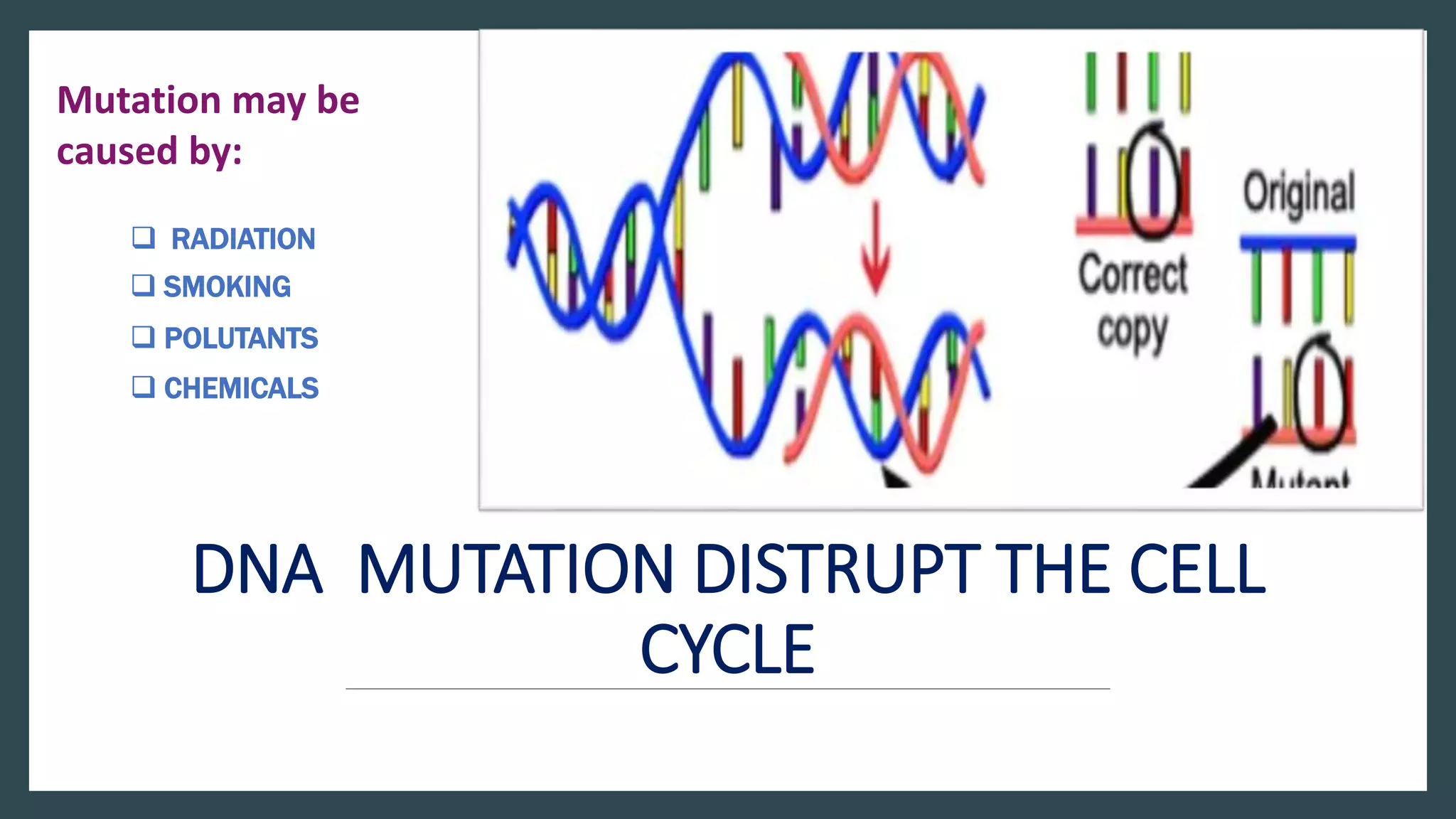 DNA MUTATION DISTRUPT THE CELL
CYCLE
Mutation may be
caused by:
 RADIATION
 CHEMICALS
 POLUTANTS
 SMOKING
 