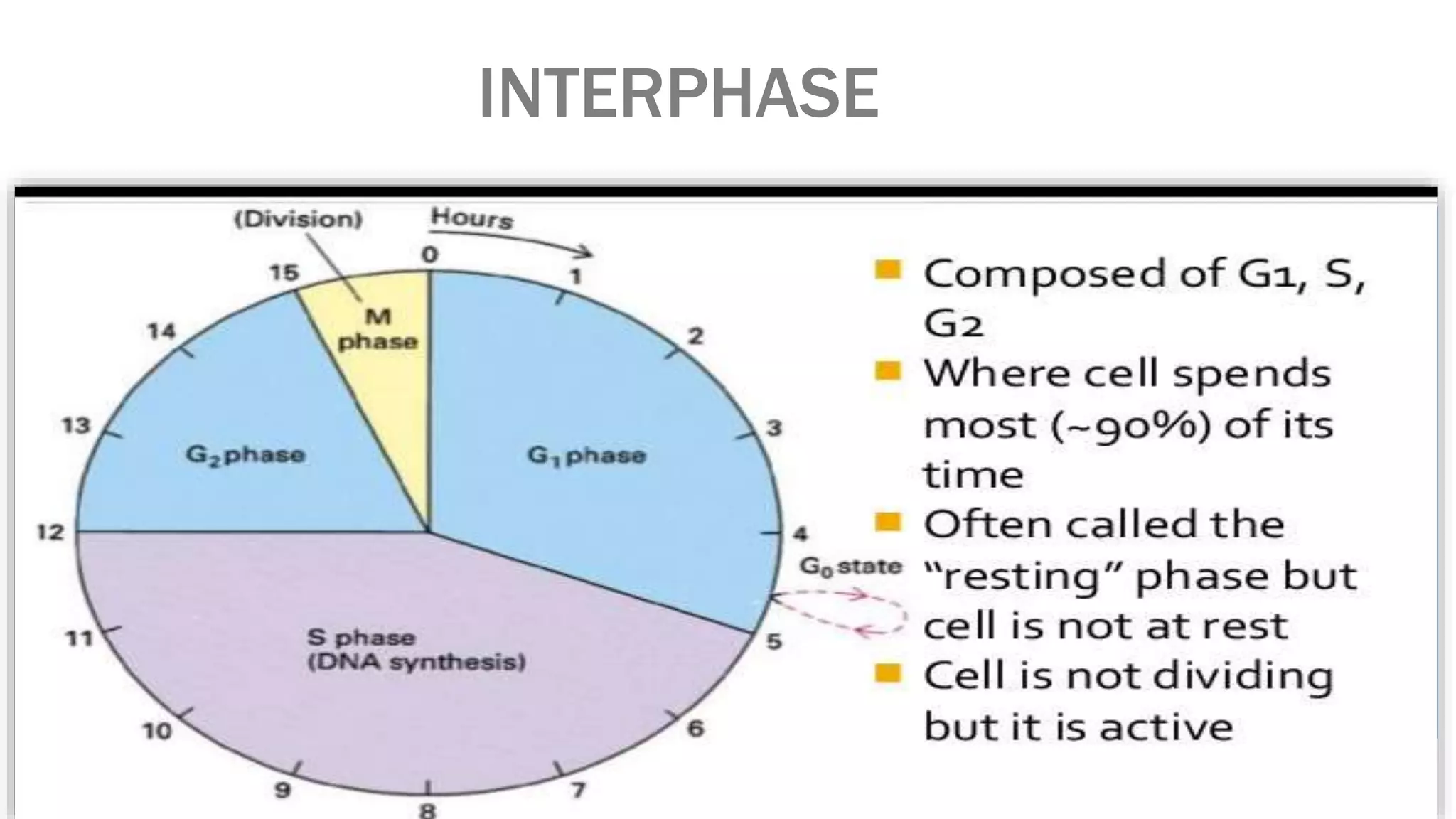 INTERPHASE
 