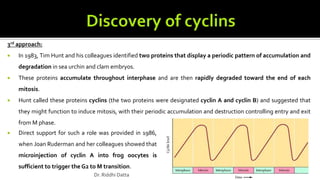 3rd approach:
 In 1983, Tim Hunt and his colleagues identified two proteins that display a periodic pattern of accumulation and
degradation in sea urchin and clam embryos.
 These proteins accumulate throughout interphase and are then rapidly degraded toward the end of each
mitosis.
 Hunt called these proteins cyclins (the two proteins were designated cyclin A and cyclin B) and suggested that
they might function to induce mitosis, with their periodic accumulation and destruction controlling entry and exit
from M phase.
 Direct support for such a role was provided in 1986,
when Joan Ruderman and her colleagues showed that
microinjection of cyclin A into frog oocytes is
sufficient to trigger the G2 to M transition.
Dr. Riddhi Datta
 