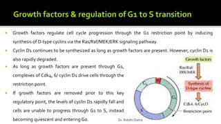  Growth factors regulate cell cycle progression through the G1 restriction point by inducing
synthesis of D-type cyclins via the Ras/Raf/MEK/ERK signaling pathway.
 Cyclin D1 continues to be synthesized as long as growth factors are present. However, cyclin D1 is
also rapidly degraded.
 As long as growth factors are present through G1,
complexes of Cdk4, 6/ cyclin D1 drive cells through the
restriction point.
 If growth factors are removed prior to this key
regulatory point, the levels of cyclin D1 rapidly fall and
cells are unable to progress through G1 to S, instead
becoming quiescent and entering G0. Dr. Riddhi Datta
 