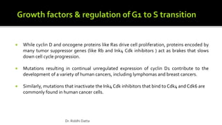  While cyclin D and oncogene proteins like Ras drive cell proliferation, proteins encoded by
many tumor suppressor genes (like Rb and Ink4 Cdk inhibitors ) act as brakes that slows
down cell cycle progression.
 Mutations resulting in continual unregulated expression of cyclin D1 contribute to the
development of a variety of human cancers, including lymphomas and breast cancers.
 Similarly, mutations that inactivate the Ink4 Cdk inhibitors that bind to Cdk4 and Cdk6 are
commonly found in human cancer cells.
Dr. Riddhi Datta
 