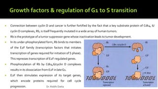  Connection between cyclin D and cancer is further fortified by the fact that a key substrate protein of Cdk4, 6/
cyclin D complexes, Rb, is itself frequently mutated in a wide array of human tumors.
 Rb is the prototype of a tumor suppressor gene whose inactivation leads to tumor development.
 In its under-phosphorylated form, Rb binds to members
of the E2F family (transcription factors that initiates
transcription of genes required for initiation of S phase).
This represses transcription of E2F-regulated genes.
 Phosphorylation of Rb by Cdk4,6/cyclin D complexes
results in its dissociation from E2F in late G1.
 E2F then stimulates expression of its target genes,
which encode proteins required for cell cycle
progression. Dr. Riddhi Datta
 