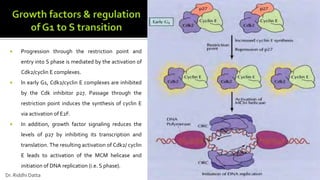  Progression through the restriction point and
entry into S phase is mediated by the activation of
Cdk2/cyclin E complexes.
 ln early G1, Cdk2/cyclin E complexes are inhibited
by the Cdk inhibitor p27. Passage through the
restriction point induces the synthesis of cyclin E
via activation of E2F.
 In addition, growth factor signaling reduces the
levels of p27 by inhibiting its transcription and
translation. The resulting activation of Cdk2/ cyclin
E leads to activation of the MCM helicase and
initiation of DNA replication (i.e. S phase).
Dr. Riddhi Datta
 