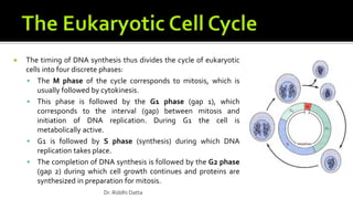  The timing of DNA synthesis thus divides the cycle of eukaryotic
cells into four discrete phases:
 The M phase of the cycle corresponds to mitosis, which is
usually followed by cytokinesis.
 This phase is followed by the G1 phase (gap 1), which
corresponds to the interval (gap) between mitosis and
initiation of DNA replication. During G1 the cell is
metabolically active.
 G1 is followed by S phase (synthesis) during which DNA
replication takes place.
 The completion of DNA synthesis is followed by the G2 phase
(gap 2) during which cell growth continues and proteins are
synthesized in preparation for mitosis.
Dr. Riddhi Datta
 