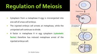  Cytoplasm from a metaphase II egg is microinjected into
one cell of a two-cell embryo.
 The injected embryo cell arrests at metaphase, while the
uninjected cell continues to divide.
 A factor in metaphase II in egg cytoplasm (cytostatic
factor) therefore has induced metaphase arrest of the
injected embryo cell.
Dr. Riddhi Datta
 