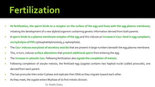  At fertilization, the sperm binds to a receptor on the surface of the egg and fuses with the egg plasma membrane,
initiating the development of a new diploid organism containing genetic information derived from both parents.
 A sperm binds to a plasma membrane receptor of the egg and this induces an increase in Ca2+ level in egg cytoplasm,
via hydrolysis of PIP2 (phosphatidylinositol4,5-isphosphate).
 The Ca2+ induces exocytosis of secretory vesicles that are present in large numbers beneath the egg plasma membrane.
 This, in turn, induces surface alterations that prevent additional sperm from entering the egg.
 The increase in cytosolic Ca2+ following fertilization also signals the completion of meiosis.
 Following completion of oocyte meiosis, the fertilized egg (zygote) contains two haploid nuclei (called pronuclei), one
derived from each parent.
 The two pronuclei then enter S phase and replicate their DNA as they migrate toward each other.
 As they meet, the zygote enters M phase of its first mitotic division.
Dr. Riddhi Datta
 