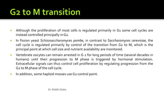  Although the proliferation of most cells is regulated primarily in G1 some cell cycles are
instead controlled principally in G2.
 In fission yeast Schizosaccharomyces pombe, in contrast to Saccharomyces cerevisiae, the
cell cycle is regulated primarily by control of the transition from G2 to M, which is the
principal point at which cell size and nutrient availability are monitored.
 Vertebrate oocytes can remain arrested in G 2 for long periods of time (several decades in
humans) until their progression to M phase is triggered by hormonal stimulation.
Extracellular signals can thus control cell proliferation by regulating progression from the
G2 to M phase of the cell cycle.
 In addition, some haploid mosses use G2 control point.
Dr. Riddhi Datta
 