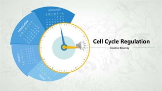 Cell Cycle Regulation
Creative Bioarray
 