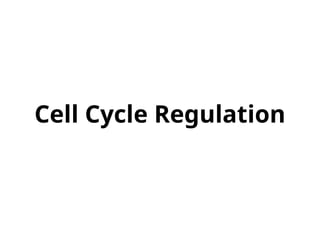 Cell Cycle Regulation Rfx Comprehensive Overview of Cell Cycle Regulation and Control Mechanisms ...