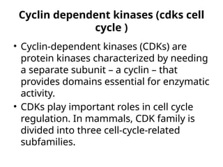 Comprehensive Overview of Cell Cycle Regulation and Control Mechanisms ...